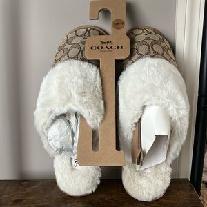 Coach Slippers
